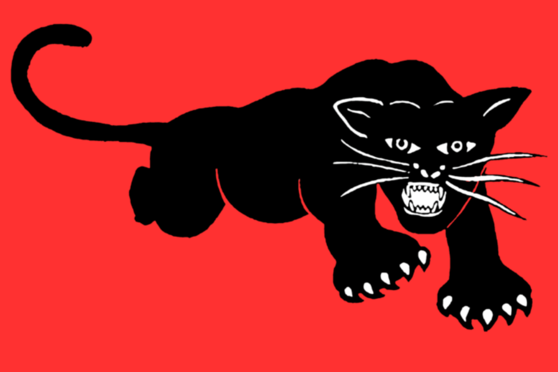Black Panther Party : de la colère noire à la pédagogie révolutionnaire 